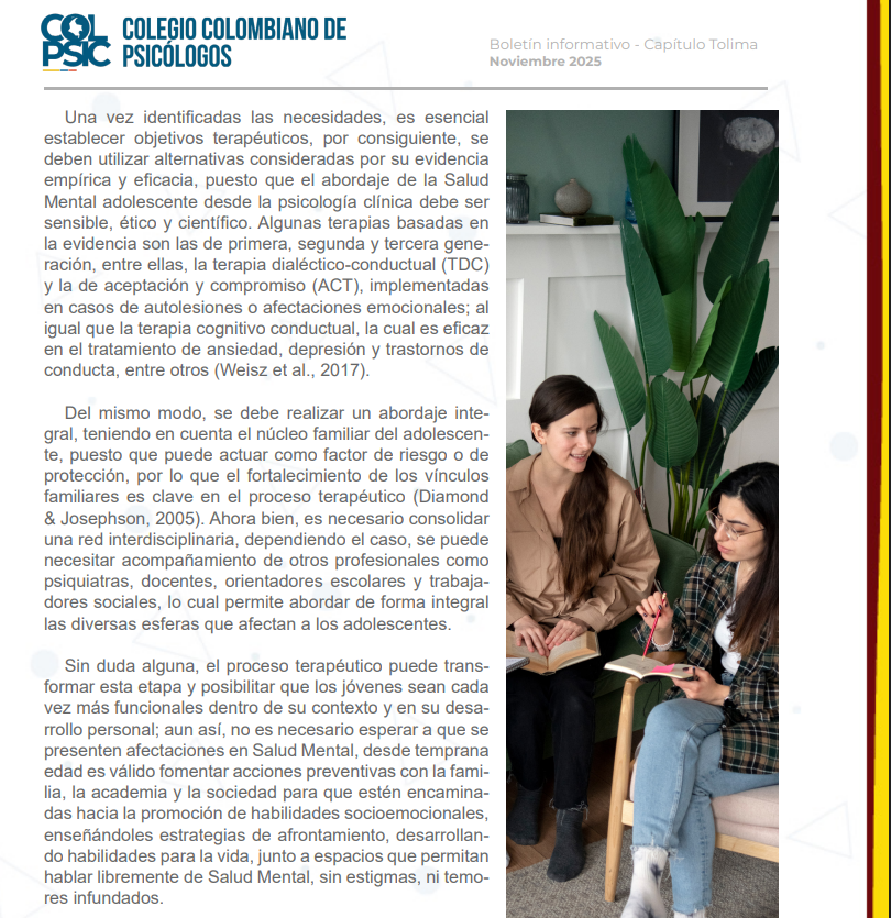 Boletín informativo - Capítulo Tolima<br />
Noviembre 2025